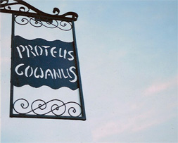 Proteus sign