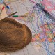 Close up of the migration map