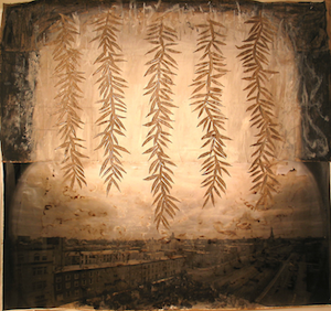 Maryland Willow R Gould.smallpng