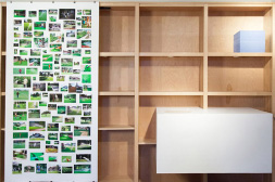 Installation view show3shelves253