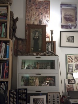 Morbid Anatomy Library
