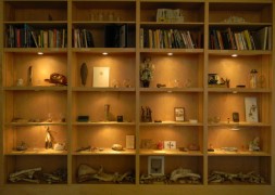 Shelves