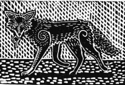 coyote4_truegrey